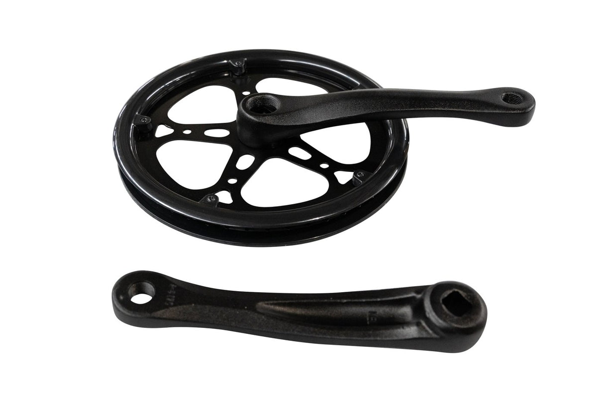 Snapcycle e-bike crank and chainring