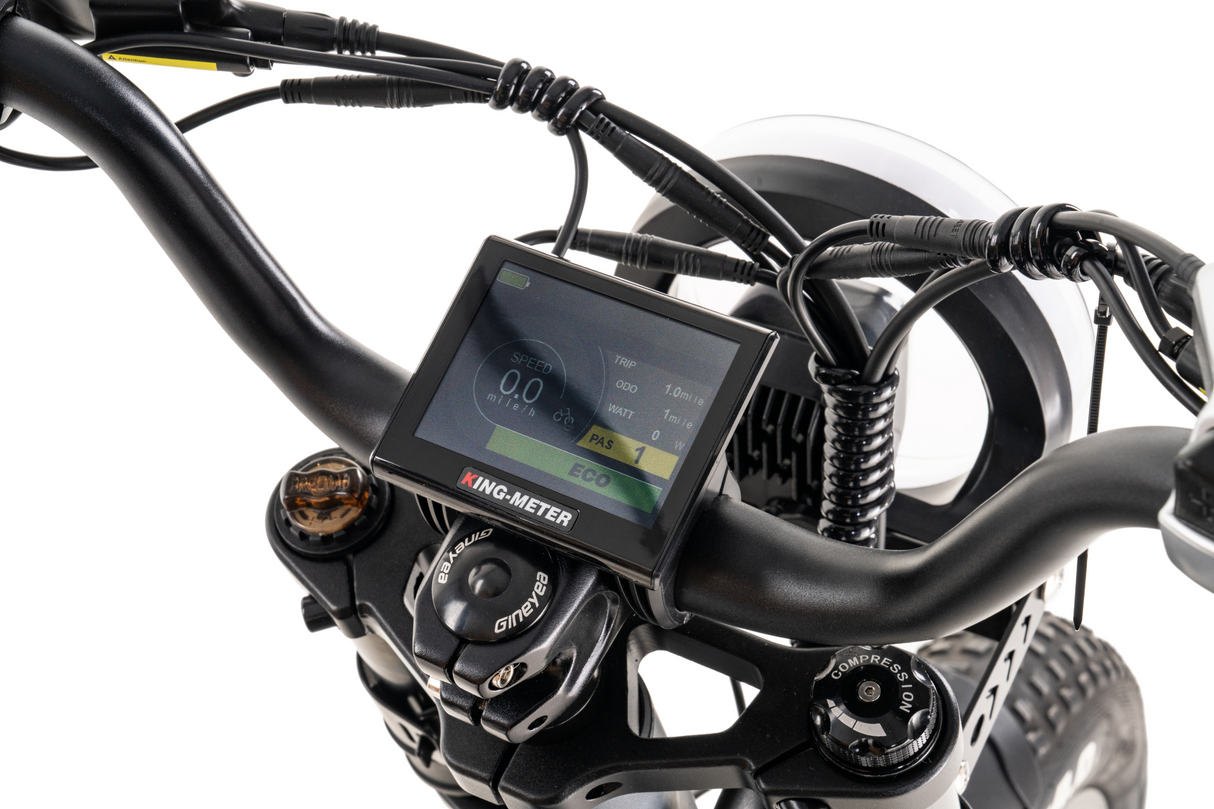 Snapcycle Warrior E-Bike