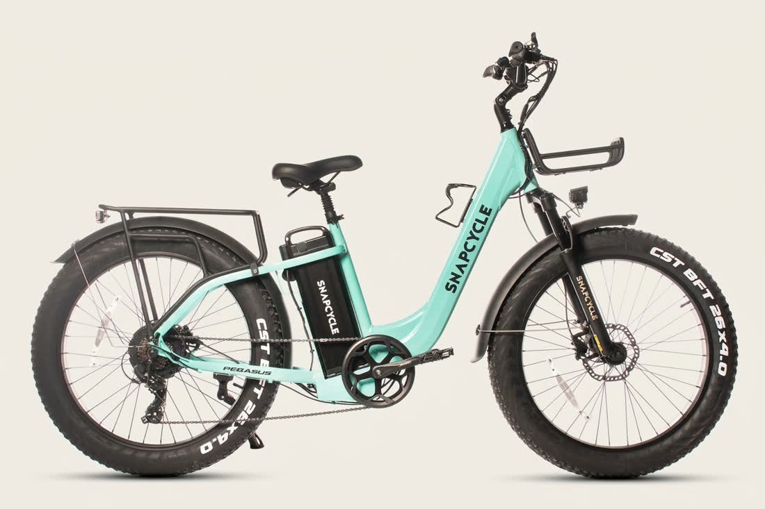 Snapcycle Pegasus