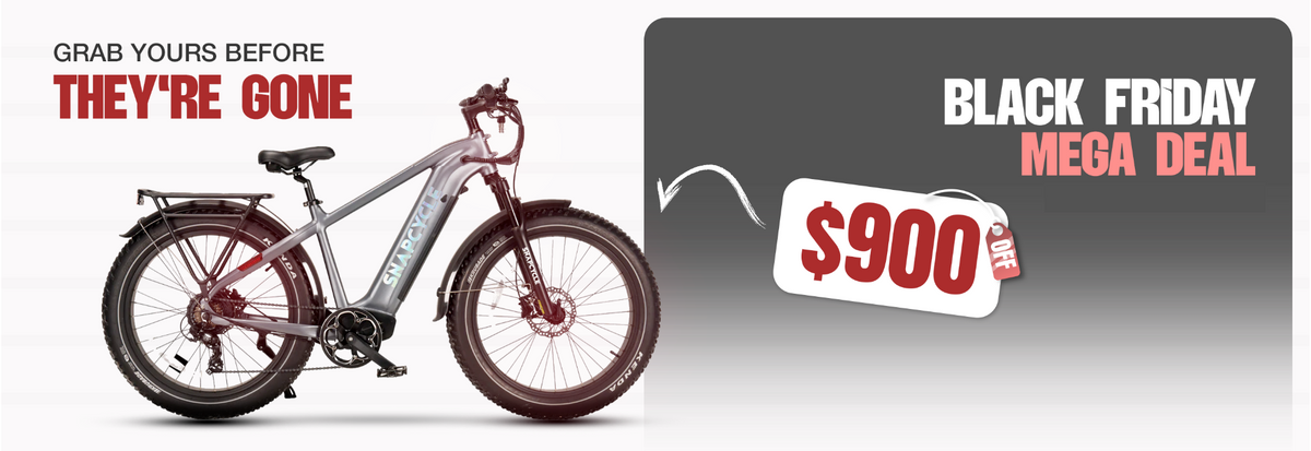 Black Friday Electric Bike Sale 2024 - Details of New Offers
