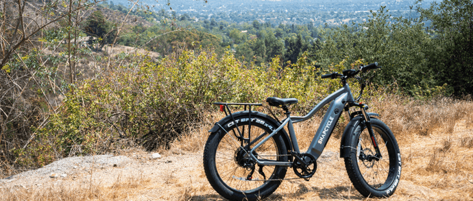 Bike Trails You Won’t Want to Miss in Your Area