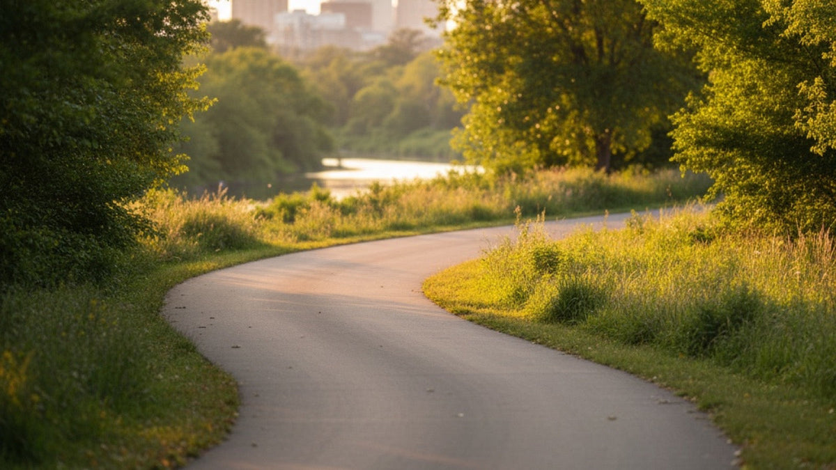 A quiet paved bike path winding through a green city park at golden hour