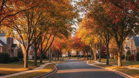 A quiet suburban street lined with autumn trees