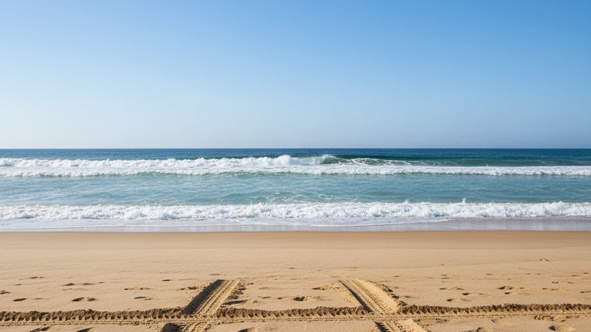 A sandy ocean beach with gentle waves and tire tracks in the sand