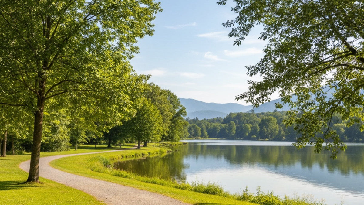 A lakeside park path on a bright summer morning