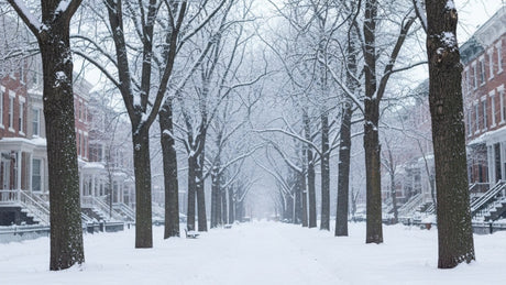 A snowy winter sidewalk with fresh snow and bare trees