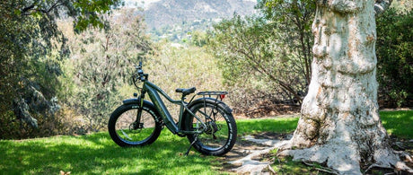 How To Maximize The Range of Your Ebike - Snapcycle Bikes
