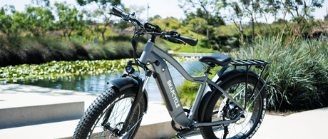 Why Ebikes Are Great for the Future of Our Planet - Snapcycle Bikes