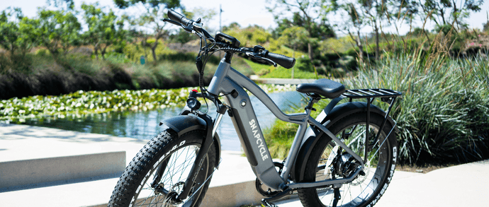 Why Ebikes Are Great for the Future of Our Planet