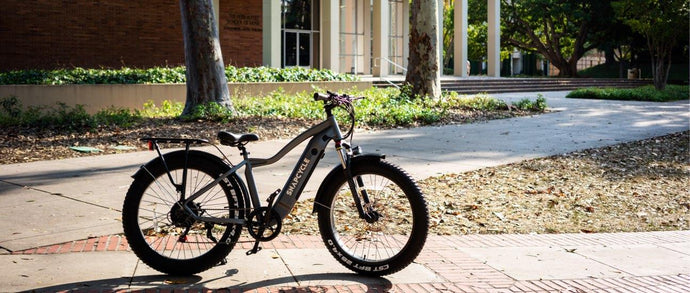 Why You Should Choose Fat Tire Electric Bikes