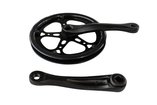 Snapcycle e-bike crank and chainring