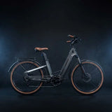 Mihogo Air Max carbon fiber folding e-bike, side profile